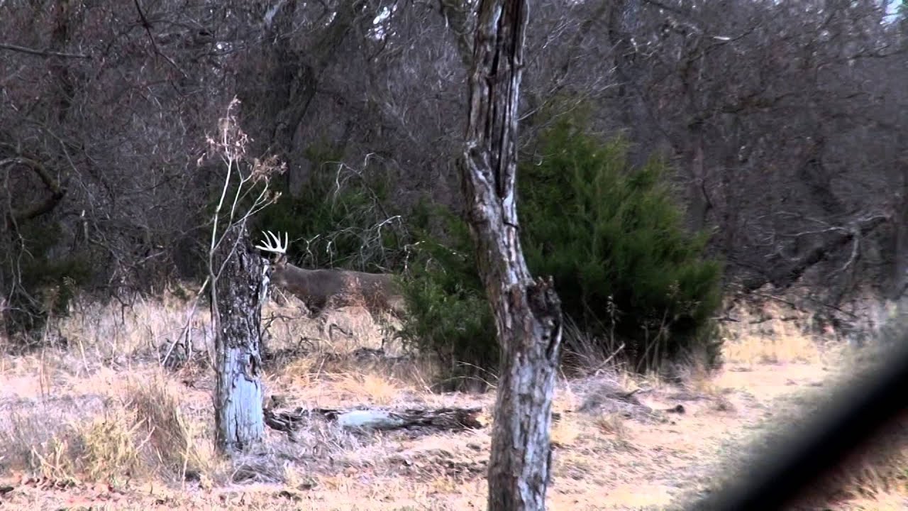 Intrepid Outdoors - Kevin Gross Triple Play