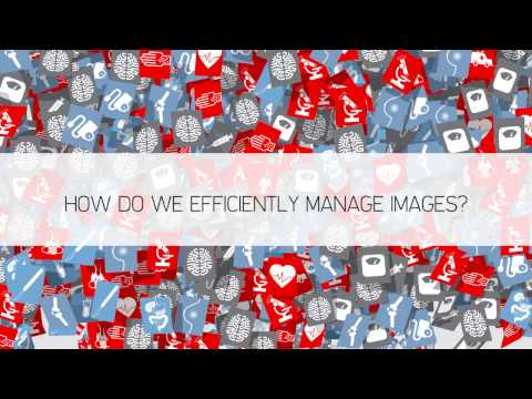 AGFA HealthCare Enterprise Imaging Introduction