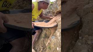 Perfect, the process of getting a lump of gold on the edge of the river, amazing #gold #vidioshorts