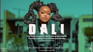 Kabza De Small, Busta929, Ft Boohle, Sir Trill and Nkosazana  Daughter - ''Dali' Amapiano Type Beat