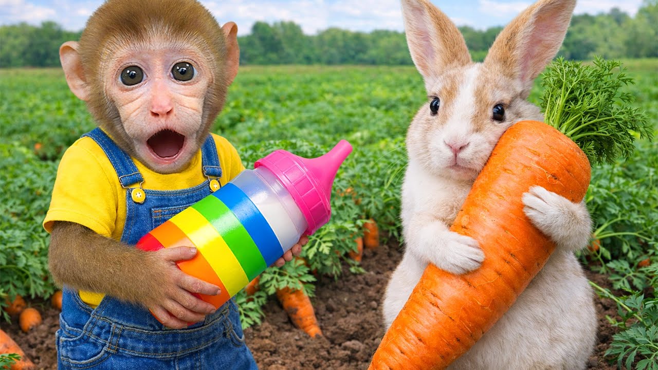 Monkey Mono fixes broken cars and buys shiny new cars for his garage everyday! | Mono Monkey TV