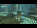 Zelda breath of the wild  qua raym shrine  a balanced approach trial solution