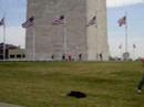 Dancing in D.C.