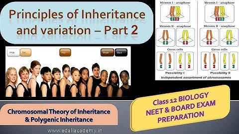Principles of Inheritance and Variation class 12 | NCERT Biology Part 2 | Board & NEET 2021 | edall