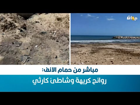   مباشر من حمام الانف روائح كريهة وشاطئ كارثي