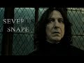 Severus Snape l Someone You Loved