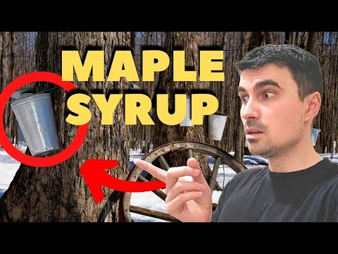 Video: Maple Sugaring Getaways - Nord-est SUA & Canada