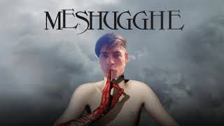 MESHUGGHE - BLEED feat. Stefan de la Craiova GHE GHE GHE Cover