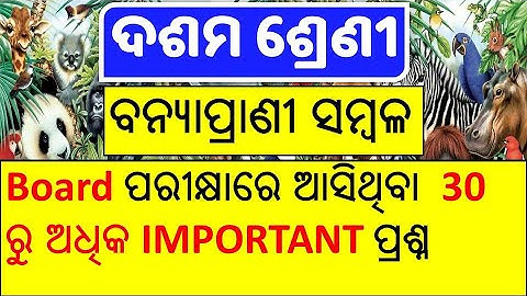 Banya Prani Sambala Class 10(ପ୍ରାଣୀ ସମ୍ବଳ) || 10th class geography banya prani sambala ||