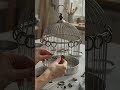 Hands building bird cage recycle…