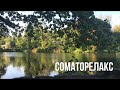 Соматорелакс  Сонастройка с вашим телом. Скажи Жизни ДА! Метод  Надежды Лоскутовой