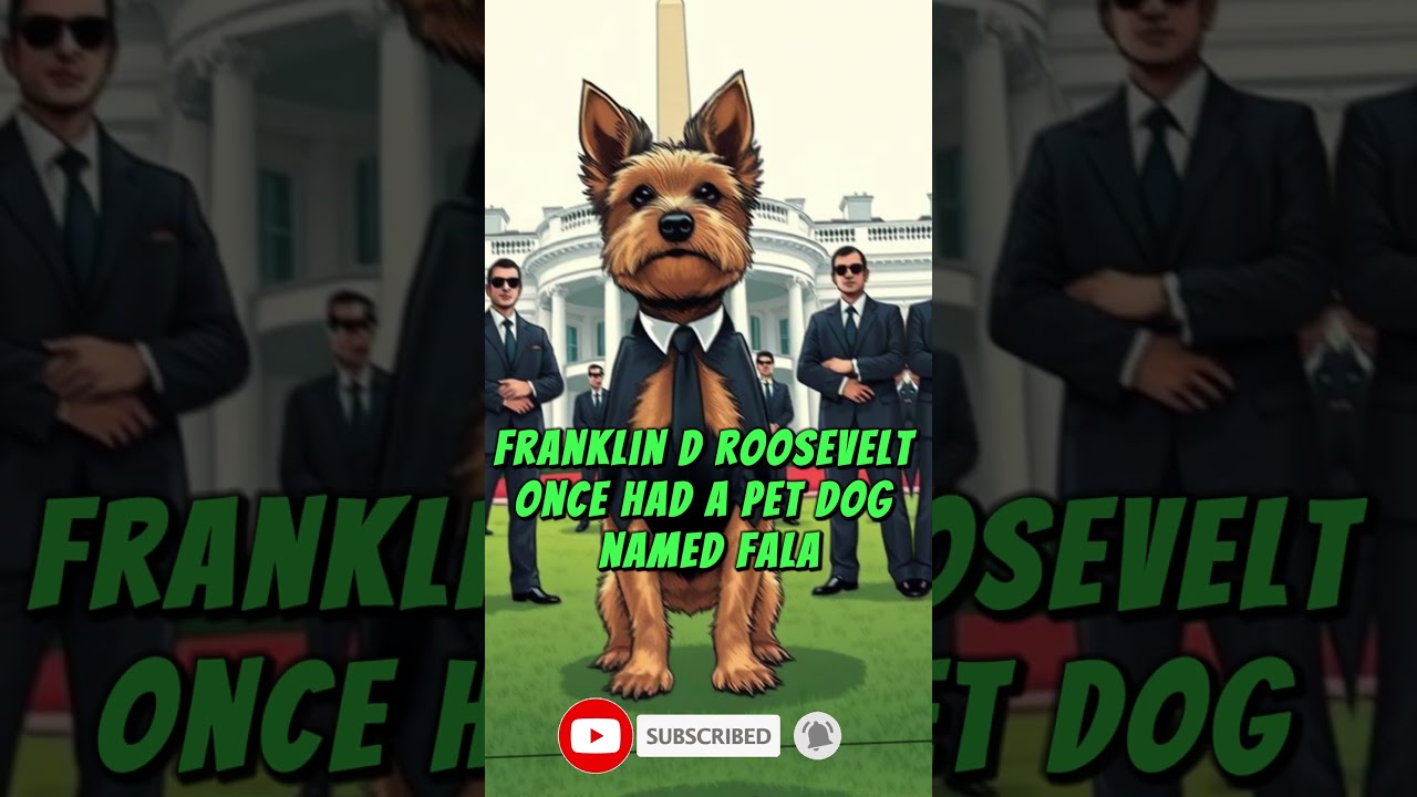 Crazy facts about world leaders 