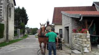 MVI_0154.avi