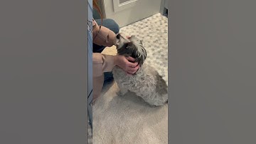 Our latest project is complete — and it’s one you’ll want to see twice.