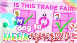 DOG TO MEGA PEPPERMINT PENGUIN TRADING 💜🐶 || DOG TO DREAM PET 1 🐧