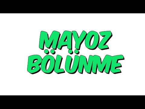 7.Sınıf Fen Bilimleri | Mayoz Bölünme