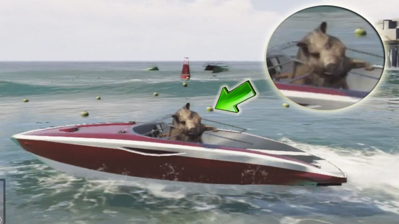 videos graciosos para facebook GTA V - UN JABALÍ A BORDO (Grand Theft Auto 5)