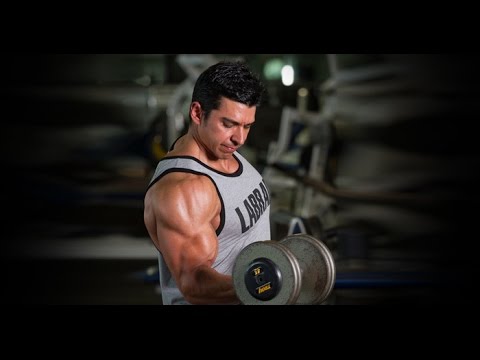 Training, Dieting & Supplements For Muscle Gain / Fat Loss & More! (Raw