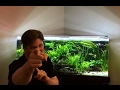 Down and dirty with planted aquarium substrate