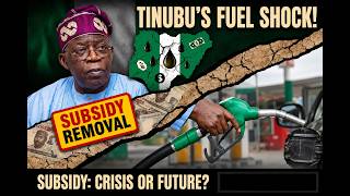 Details Class Warfare at the Pump: Nigeria's Fuel Subsidy Removal Protected the Elite & Punished the Masses Update