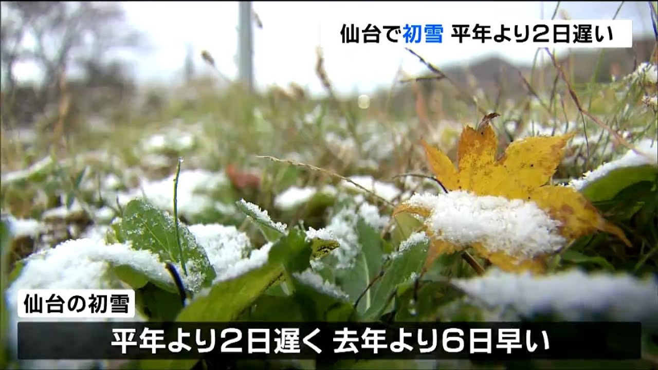 そろそろかなって思っていた」仙台で初雪 平年より2日遅く去年より6日