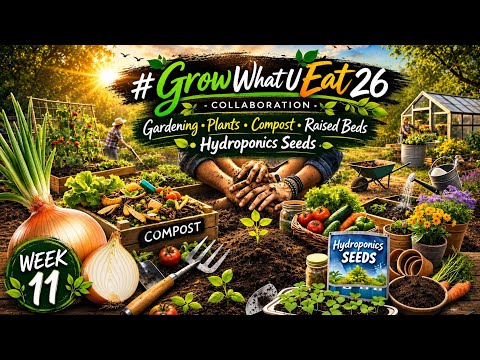 WEEK 11 GARDEN UPDATE 🌱 HUGE ONIONS, BOOMING BEDS & SPRING GROWTH!