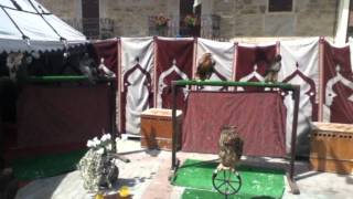 Puebla de Sanabria - Aves en el Mercado Medieval