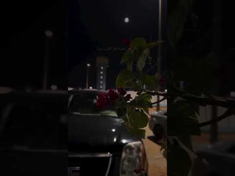 كنت ومازلت ذاك النبض الذي ينعش روحي رغمل كل المسافات