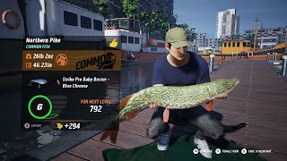 The Catch: Carp & Coarse - Come Chill & Chat VOD