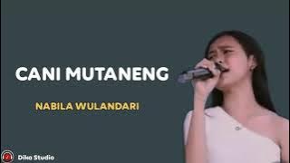 LAGU BUGiS SEDIH_ LIRIK   TERJEMAHAN || CANI MUTANENG - COVER NABILA WULANDARI