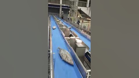 Check weigher controller BST106-M10(CK)