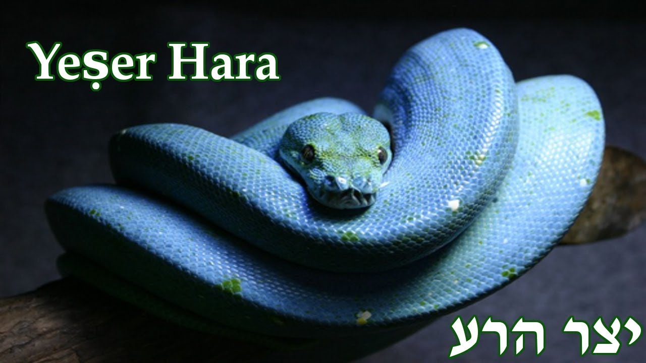 Yetzer HaRa : Wrestling The Evil Inclination & Integrating The Shadow Self | H. Avidan Elkin