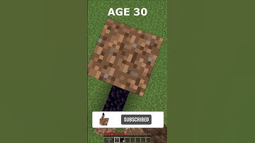 Building a nether portal in different ages 😮(world