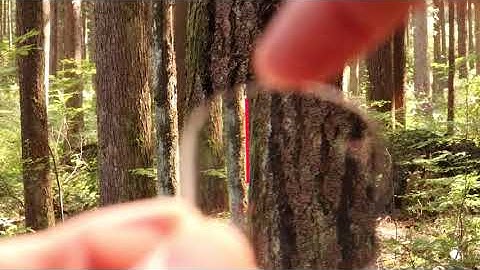 Example Sweep with a Wedge Prism