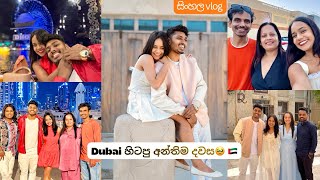 Dubai Final Vlog එක🥹🇦🇪Photoshoot | Meeting Cousins🙈 | Dinner Cruise🤤💞(සිංහල vlog)