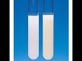 Solubility equilibria