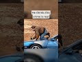 Mack: I Convinced a Stranger to Rob a Bank #trending #viralshorts #fyp #funny #entertainment #shorts