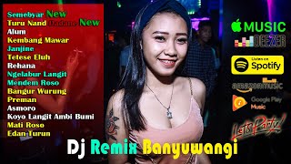 Dj Remix Terbaru ~ Kumpulan Lagu Banyuwangi Versi Dj || Dj Viral Tik Tok