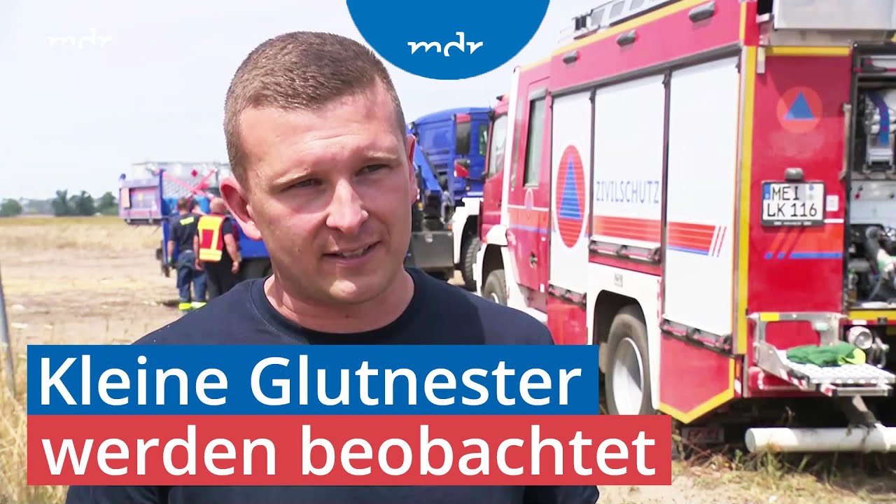 Nach der Waldbrandkatastrophe in der Gohrischheide: Wie geht es weiter? | MDR um 4 | MDR