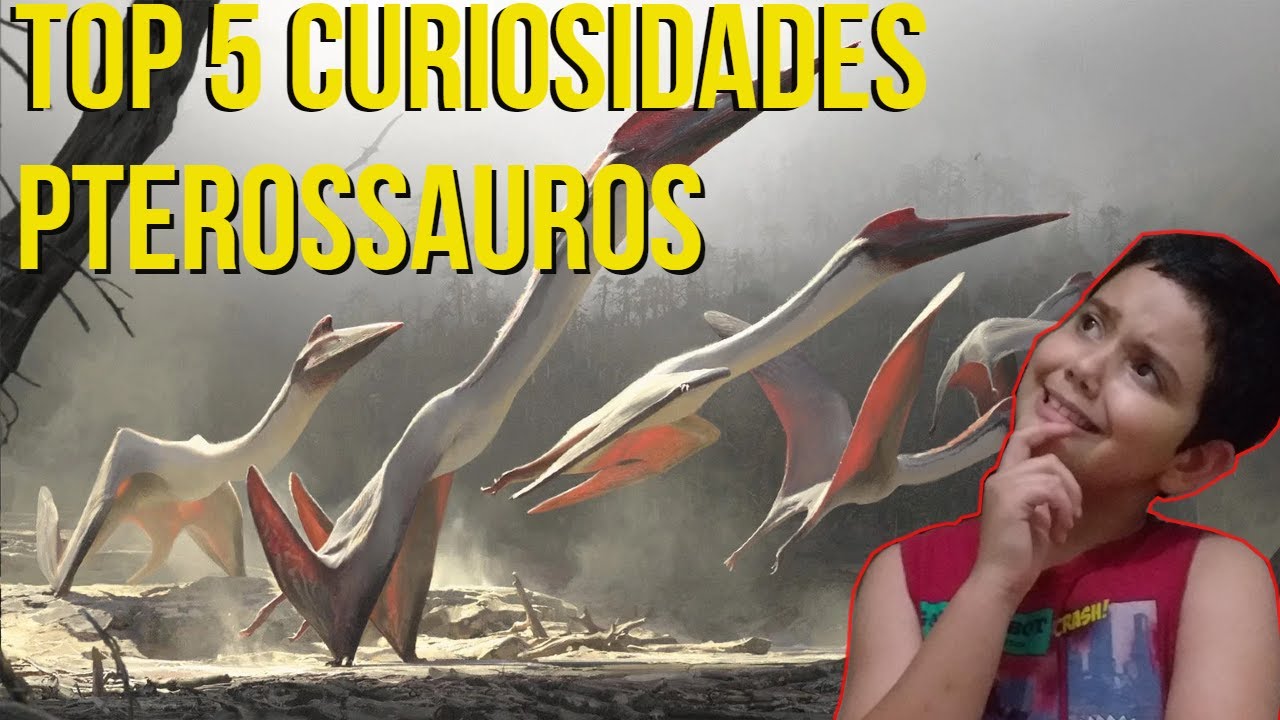 Pterodáctilo: Características e curiosidades