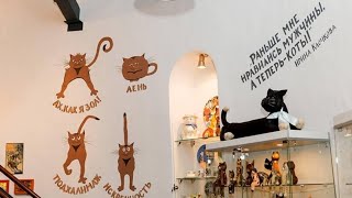 Музей кошек "Мурариум". Зеленоградск