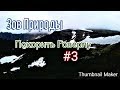 Карпатские Горы. Гора Говерла. Восхождение на Говерлу. #3