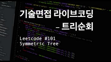 [기술면접 라이브코딩] 대칭트리, LC #101 Symmetric Tree