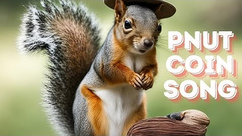 Pnut Coin Song/ Peanut the Squirrel