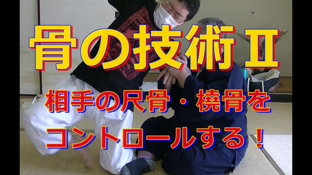 合気柔術チャンネル　技術・理合＃003　骨の技術②　aiki  makoto  okamoto