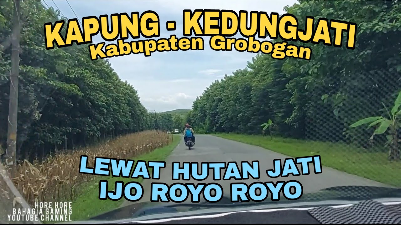 KAPUNG KEDUNGJATI GROBOGAN LEWAT HUTAN JATI JALAN BERKELAK KELOK