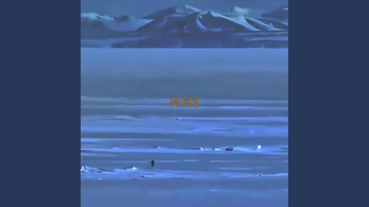 L'Amour Toujours (Organ Version)