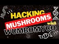 Hacking  breeding mushrooms with wumbomyco   the mycogeeky podcast
