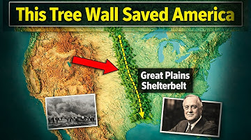 The Secret Tree Wall That Saved America