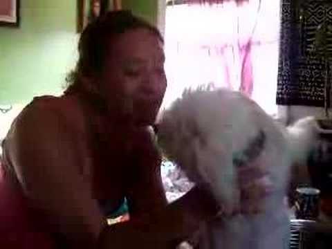 Sage freaks out with her demond dog sparky